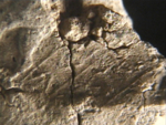 L_V12d5734 A13i100 j807 RAH.jpg L_V12d5734 A13i100 j807 RAH